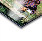 Bhutanese archer in traditional Gho aiming a compound bow. Acrylic print