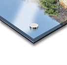 Giraffes walking together in Etosha National Park Namibia Acrylic print