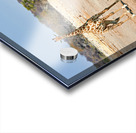 Giraffe and zebras drink water together at a waterhole in Namibi Acrylic print