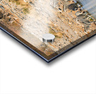 Zebras drink water at a waterhole in Etosha National Park Namibi Acrylic print