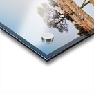 Zebras drink water at a waterhole in Etosha National Park Namibi Acrylic print