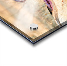 Cheetah feeding on prey in Okonjima Reserve Namibia Acrylic print