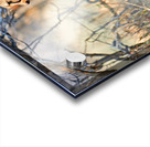 Cheetah feeds on prey in okonjima reserve in namibia Acrylic print