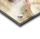 Cheetah feeding on prey in Okonjima Reserve in Namibia Acrylic print