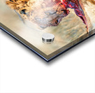 Cheetah feeding on prey in Okonjima Reserve Namibia Acrylic print