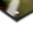 Niagara Falls illuminated with vibrant colors at night. Acrylic print