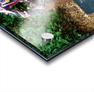 Memorial for Czech heroes Jan Palach and Jan Zajíc. Acrylic print