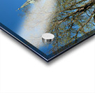 Explore Maria Geburt Church in Rottenbuch Bavaria along Romanti Acrylic print