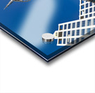 Sky Tower in Auckland showing city buildings and clear sky Acrylic print