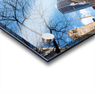 Modern architecture and Sky Tower in Auckland New Zealand Acrylic print