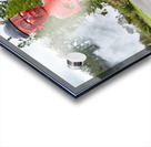 Explore Whakarewarewa village in Rotorua New Zealand with carvi Acrylic print