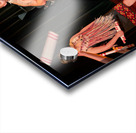 Maori haka dance performance in Auckland New Zealand Acrylic print