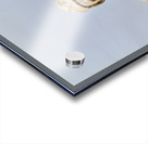 Berninis Clement X bust in Galleria Nazionale dArte Antica Acrylic print