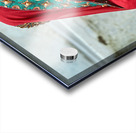 Portrait of a woman in traditional dress in Mandawa Rajasthan Acrylic print