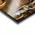 Traditional dance performance in Khimsar Rajasthan showcases cul Acrylic print