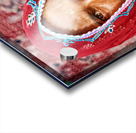 Portrait of a woman in traditional dress from Jaisalmer India Acrylic print