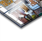 Streets of Bikaner in Rajasthan show daily life and animals Acrylic print