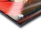 Man in red turban poses in Rajasthans Jaisalmer market street Acrylic print