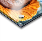 Old man in Bundi Rajasthan showing traditional culture and attir Acrylic print