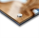 View of Taj Mahal Palace from a distance in Agra India Acrylic print