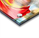 Portrait of holy man sadhu in Orchha Madhya Pradesh India Acrylic print