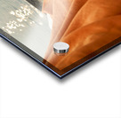 Praying by the ganges river in varanasi india Acrylic print