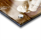 Exploring erotic art in Khajuraho temples of Madhya Pradesh Acrylic print