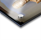 Sacred relics found in the treasure chamber of San Domenico Magg Acrylic print