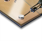 Displays of ancient artifacts are shown in glass cases Acrylic print