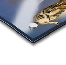 Statues of ancient philosophers displayed in museum setting Acrylic print