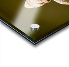 Sculpture of a seated figure in the Asian Art Gallery in Manhatt Acrylic print