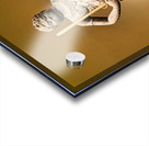 Statue of a warrior from Asia at the Metropolitan Museum of Art Acrylic print