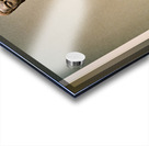 Buddha statue at the Mets Asian art gallery Acrylic print