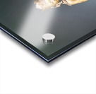 Sculpture of seated figure in Asian Art Gallery at Metropolitan  Acrylic print