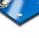 Visit to King Abdullah Mosque in Amman Jordan during clear day Acrylic print