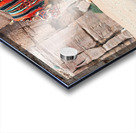 Camels wait for tourists at Petra archaeological site in Jordan Acrylic print