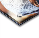 Veiled Moroccan woman in Marrakesh market on a sunny day Impression Acrylique