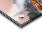 Sunset at Djema el Fna square in Marrakesh Morocco Acrylic print