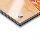 Dyed leather drying in the sun in Marrakesh Morocco Acrylic print