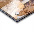 Frescoes inside Cattolica di Stilo in Calabria Italy Acrylic print