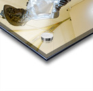 Bronze David stands in Museo Nazionale del Bargello in Florence Acrylic print