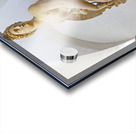 Florence artwork depicts victory over Pisa in museum Acrylic print