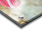 Young man in Syria smiles during a sunny day outdoors Acrylic print