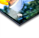 Portrait of Burmese women of Shan ethnicity in Myanmar Acrylic print