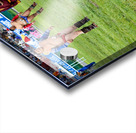 Wrestling matches at Naadam festival in Ulaanbaatar Mongolia Acrylic print