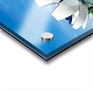 Visitors enjoy view of ArtScience Museum and city skyline in Sin Acrylic print