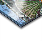 People walk on bridge connecting to Supertree Grove in Singapore Acrylic print