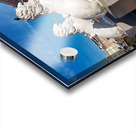 Lions guard the bridge in Saint Petersburg on a sunny day Acrylic print