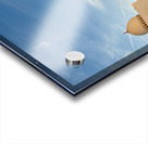 Visit the Sheikh Zayed Grand Mosque at sunset in Abu Dhabi Acrylic print