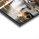 Visit to the muscat fish market in oman during the day Acrylic print